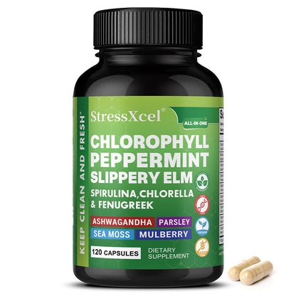 StressXcel Chlorophyll Peppermint Complex – Herbal Digestive Wellness Support