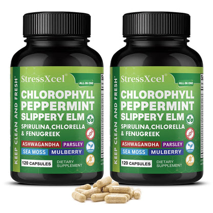 StressXcel Chlorophyll Peppermint Complex – Herbal Digestive Wellness Support