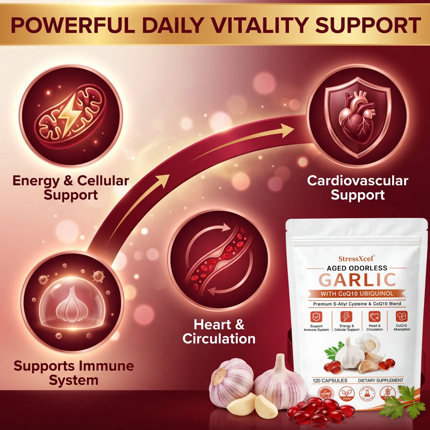 Odorless Aged Garlic Extract with Ubiquinol CoQ10 120 Capsules – Heart Health, Circulation & Immune Support Supplement