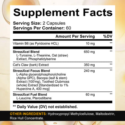StressXcel® Brain Boost Nootropic Supplement – Daily Cognitive Support for Focus, Memory & Mental Clarity (120 Capsules)