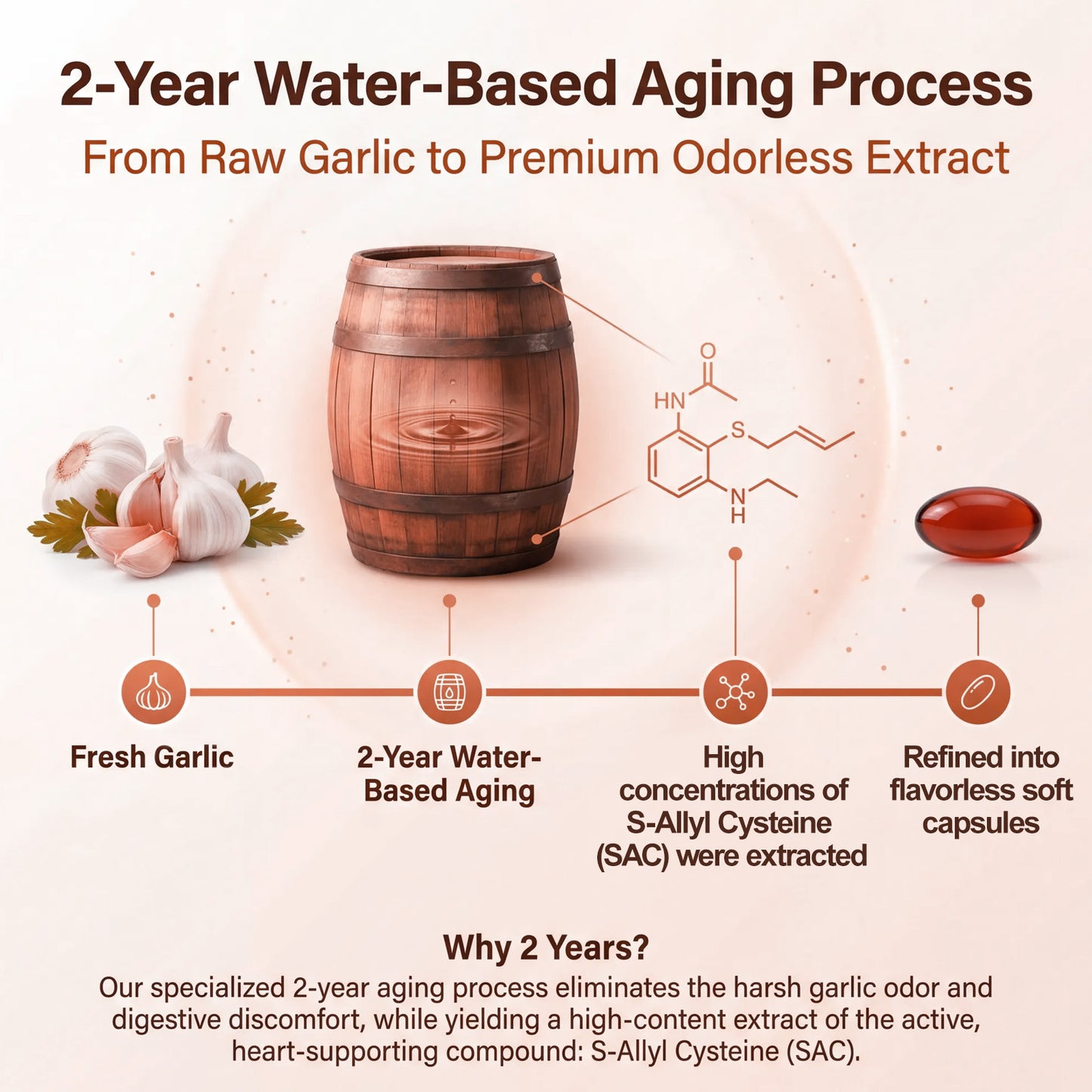 Odorless Aged Garlic Extract with Ubiquinol CoQ10 120 Capsules – Heart Health, Circulation & Immune Support Supplement