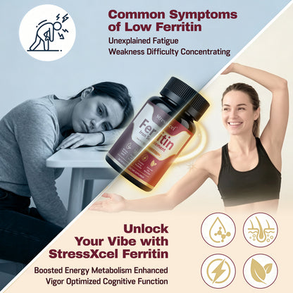 Ferritin Iron Supplement Capsules | Iron, Vitamin B12, Folate & Vitamin C Complex for Energy Support