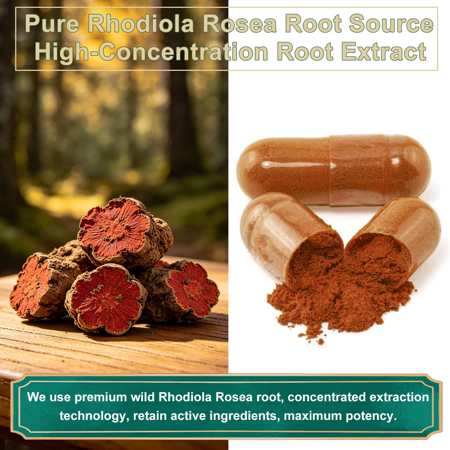 Rhodiola Rosea Extract Supplement 90 Capsules – Stress Relief, Energy & Mental Focus Support