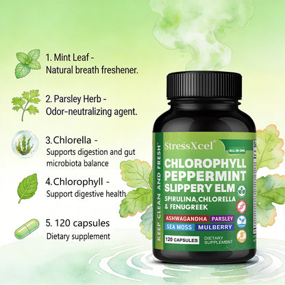StressXcel® All-In-One Chlorophyll & Peppermint Supplement – Slippery Elm, Spirulina & Sea Moss Capsules for Body Odor, Breath Freshness & Gut Detox (120 Capsules)