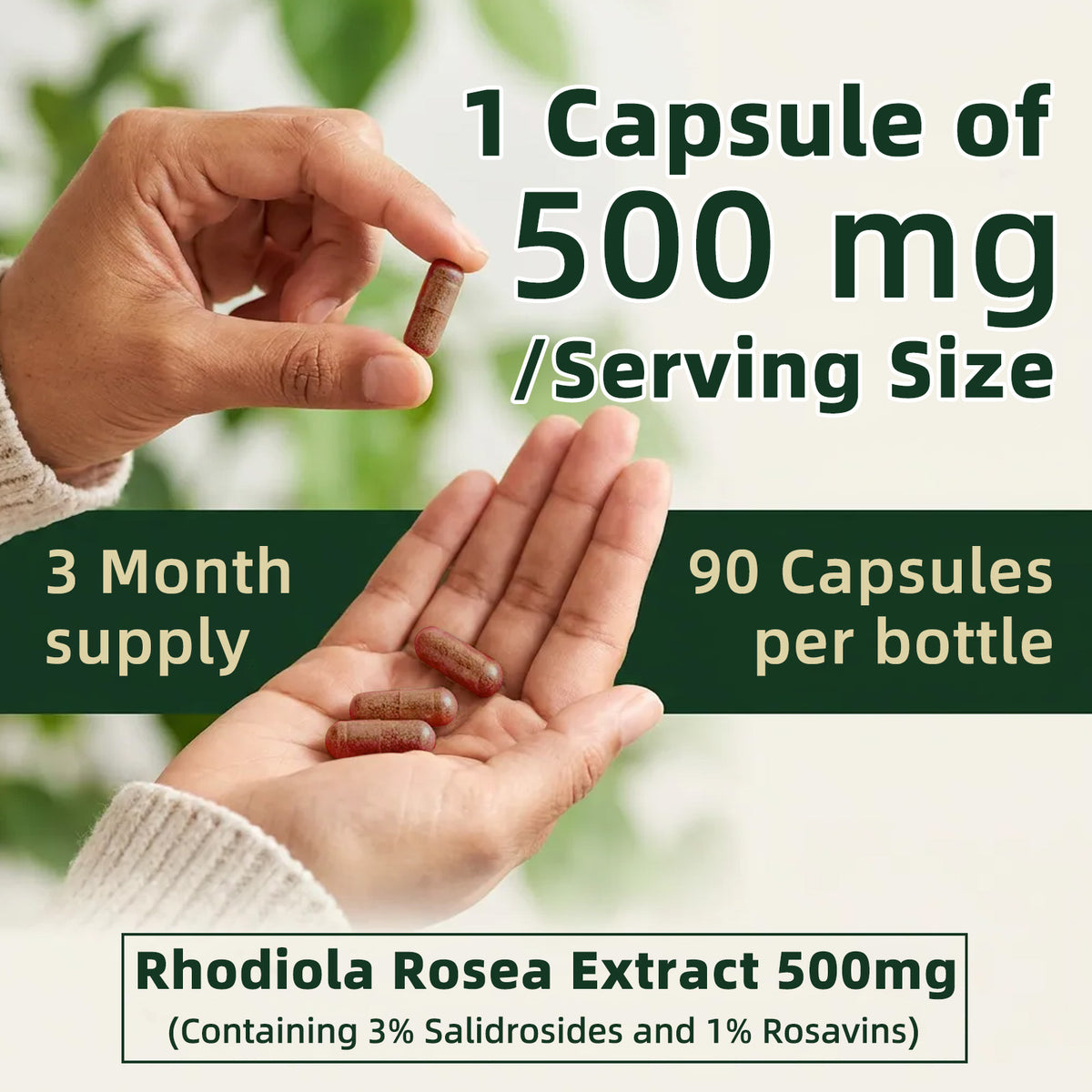 Rhodiola Rosea Extract Supplement 90 Capsules – Stress Relief, Energy & Mental Focus Support