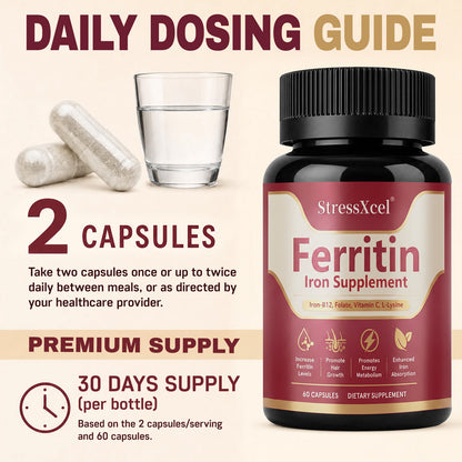 Ferritin Iron Supplement Capsules | Iron, Vitamin B12, Folate & Vitamin C Complex for Energy Support