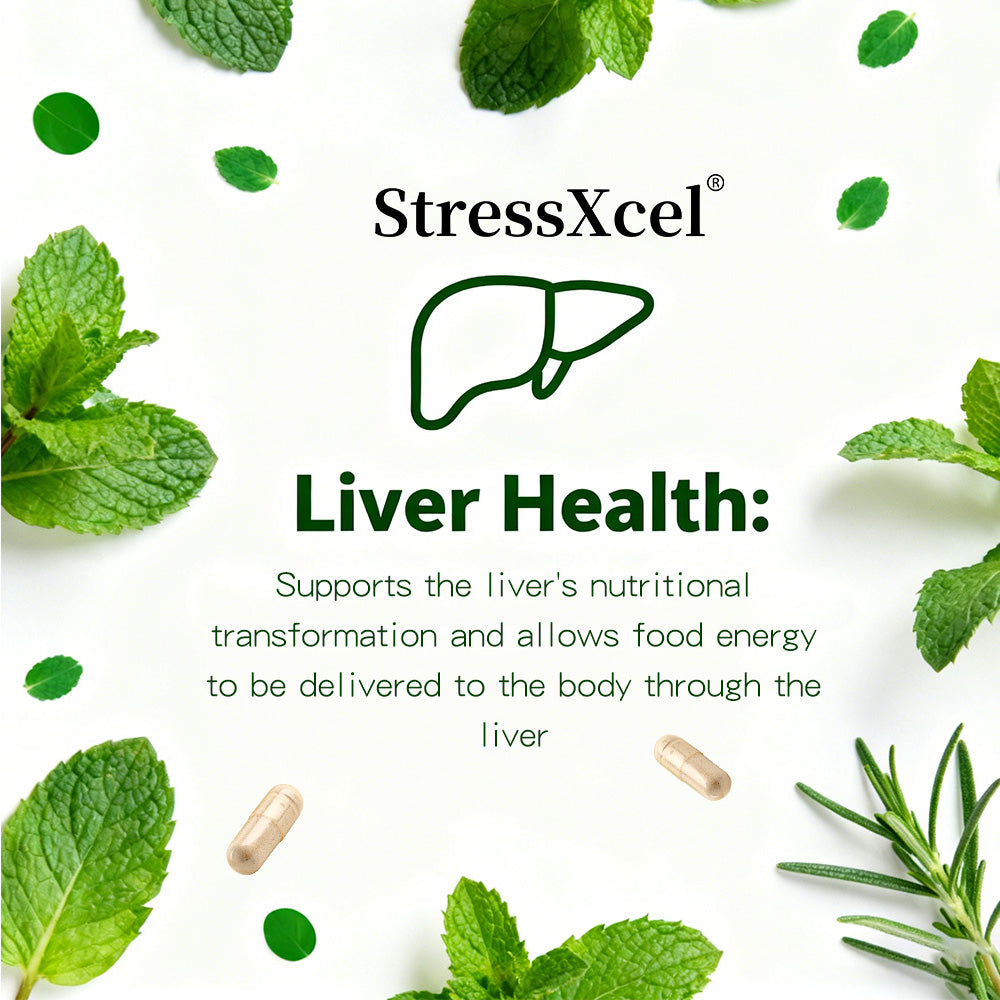 StressXcel® All-In-One Chlorophyll & Peppermint Supplement – Slippery Elm, Spirulina & Sea Moss Capsules for Body Odor, Breath Freshness & Gut Detox (120 Capsules)