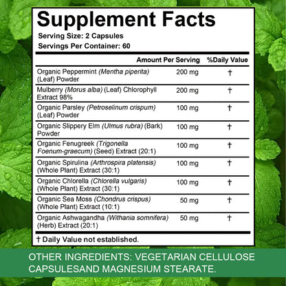 StressXcel® All-In-One Chlorophyll & Peppermint Supplement – Slippery Elm, Spirulina & Sea Moss Capsules for Body Odor, Breath Freshness & Gut Detox (120 Capsules)