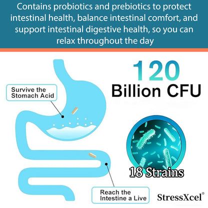 StressXcel® 120 Billion CFU Probiotics with 3 Prebiotics – 18 Strains Supplement for Digestive Health, Gut Balance & Immune Support (120 Capsules)